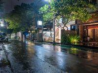 a street with several trees lined the sidewalk at night on a rainy day that is illuminated with street lamps