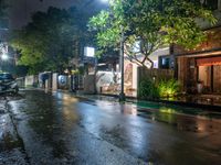 a street with several trees lined the sidewalk at night on a rainy day that is illuminated with street lamps