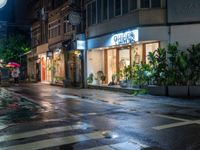 a store front with multiple plants and potted plants in the windows at night time