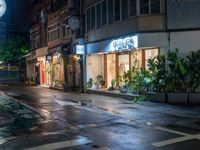 a store front with multiple plants and potted plants in the windows at night time