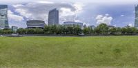 the view of an urban city and buildings from a park with a grass lawn in front of it