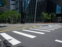 a crosswalk with yellow lines running through a road and between trees with tall buildings