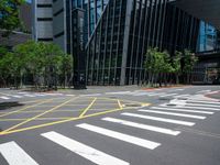 a crosswalk with yellow lines running through a road and between trees with tall buildings