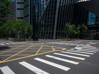 a crosswalk with yellow lines running through a road and between trees with tall buildings