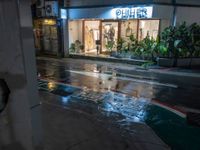 a person walks down the street while the rain falls on it and leaves are flying off of an open building