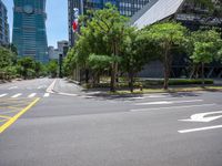 the empty street is very empty and needs to be cleaned in order to make the traffic clear