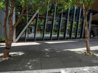 an empty street is lined with tall buildings and trees in front of the building is covered in mirrors