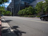 a city street lined with tall buildings and trees, near a sidewalk near bushes and trees