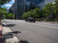 a city street lined with tall buildings and trees, near a sidewalk near bushes and trees