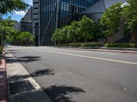 a city street lined with tall buildings and trees, near a sidewalk near bushes and trees