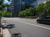 a city street lined with tall buildings and trees, near a sidewalk near bushes and trees