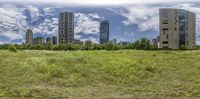 there is a city skyline with tall buildings and a blue sky in the background while grass grows on the ground