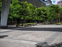 a city sidewalk has trees and grass on both sides of the street and a pedestrian on the sidewalk, there are tall skyscrapers in the background