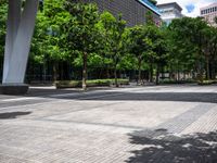 a city sidewalk has trees and grass on both sides of the street and a pedestrian on the sidewalk, there are tall skyscrapers in the background