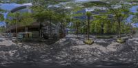 this 360 - 360 panorama is shown on the ground near many trees and buildings,