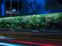 a planter wall with various plants on the side of it at night time with traffic passing by