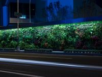 a planter wall with various plants on the side of it at night time with traffic passing by