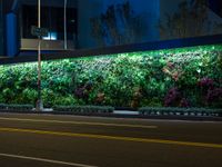 a planter wall with various plants on the side of it at night time with traffic passing by