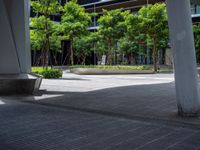 large tree lined sidewalk next to large building, and a small concrete bench on the side of the street