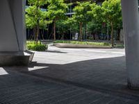 large tree lined sidewalk next to large building, and a small concrete bench on the side of the street