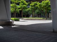 large tree lined sidewalk next to large building, and a small concrete bench on the side of the street