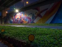 a mural in the grass under a highway at night time with a fire hydrant nearby