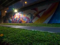 a mural in the grass under a highway at night time with a fire hydrant nearby