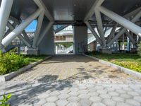 a walkway that is built inside a building surrounded by greenery and flowers on the street