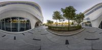 360 - view photo of the inside of an office building in california, usa, which includes buildings and a tree