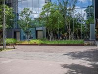 there are people walking in the city park while others watch, and people sit on benches