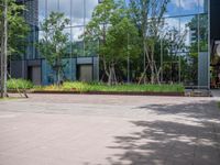 there are people walking in the city park while others watch, and people sit on benches