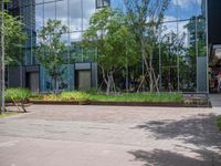 there are people walking in the city park while others watch, and people sit on benches