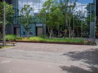 there are people walking in the city park while others watch, and people sit on benches