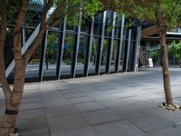 a young lady walks her dog on the sidewalk next to trees and buildings in an urban area