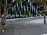 a young lady walks her dog on the sidewalk next to trees and buildings in an urban area