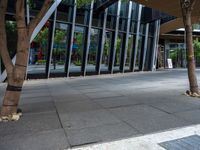 a young lady walks her dog on the sidewalk next to trees and buildings in an urban area