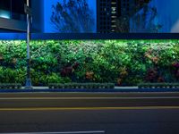 a plant wall with a night time view of the city in the background and cars passing by on the street