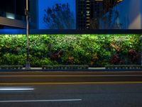 a plant wall with a night time view of the city in the background and cars passing by on the street