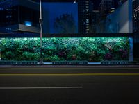 a plant wall with a night time view of the city in the background and cars passing by on the street