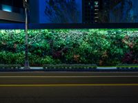 a plant wall with a night time view of the city in the background and cars passing by on the street