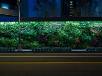 a plant wall with a night time view of the city in the background and cars passing by on the street