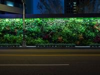 a plant wall with a night time view of the city in the background and cars passing by on the street