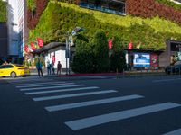 a view of the traffic lights on a crosswalk with buildings around it and people crossing the street