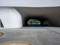 a person rides an empty skateboard through a tunnel on pavement next to some grass