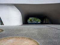 a person rides an empty skateboard through a tunnel on pavement next to some grass