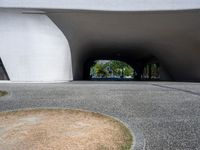 a person rides an empty skateboard through a tunnel on pavement next to some grass