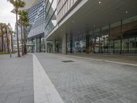 the outside of a tall building with glass walls next to a sidewalk area with palm trees