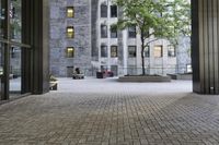 an empty sidewalk next to tall buildings with many windows and plants in a stone courtyard