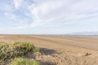 a beach with grass and shrubs along the shore near the water's edge and mountains in the distance