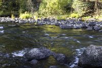 large boulder area on right bank of creek surrounded by forest in sunny sunlight time in forested area